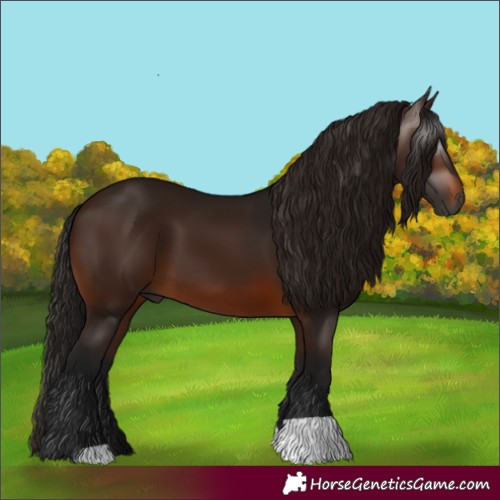 Horse Color:Gray Bay