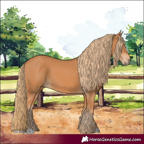 Horse Color:Chestnut 