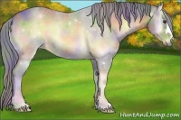 Horse Color:Nacre Watercolor Red Onyx 