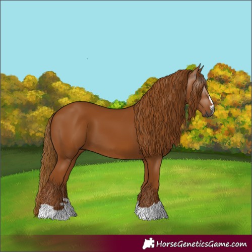 Horse Color:Gray Chestnut