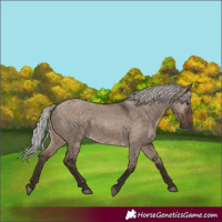 Horse Color:Silver Brown Dun