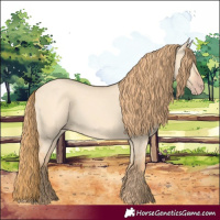 Horse Color:Gold Champagne Dun