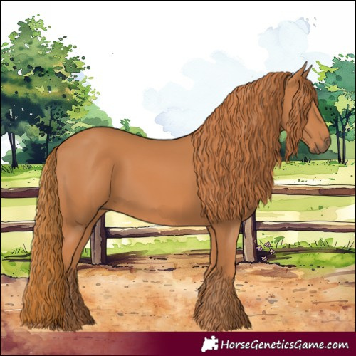 Horse Color:Chestnut 