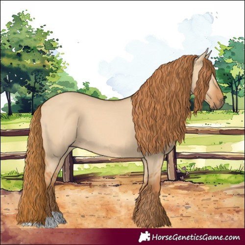 Horse Color:Red Dun 