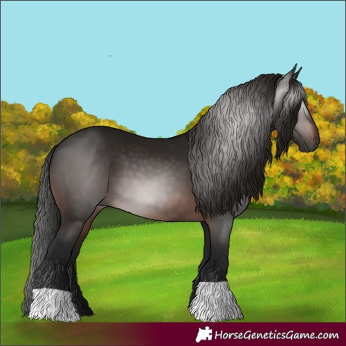 Horse Color:Gray Bay 
