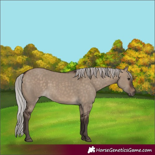 Horse Color:Silver Brown Dun