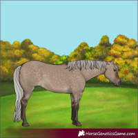 Horse Color:Silver Brown Dun