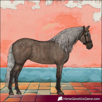 Horse Color:Silver Brown Dun