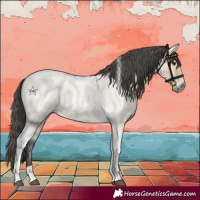 Horse Color:Buckskin Roan Tobiano 