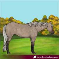 Horse Color:Silver Brown Dun