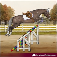 Horse Color:Silver Brown Dun
