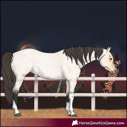 Horse Color:Buckskin Roan Dun Tobiano