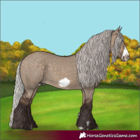 Horse Color:Silver Brown Dun Frame