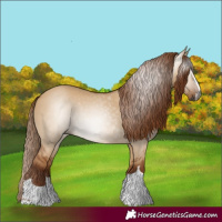 Horse Color:Gray Red Dun