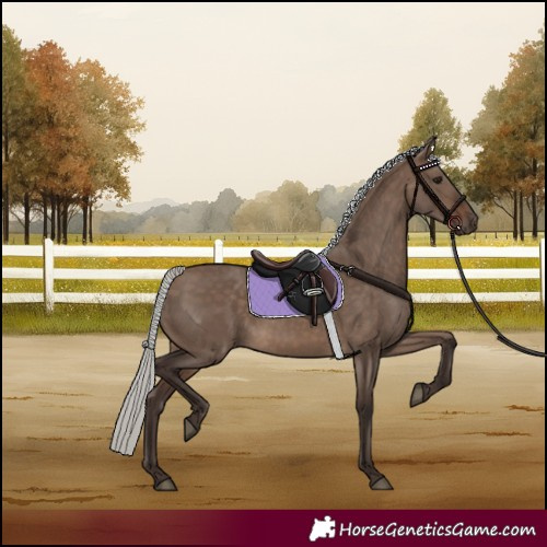 Horse Color:Silver Brown Dun 