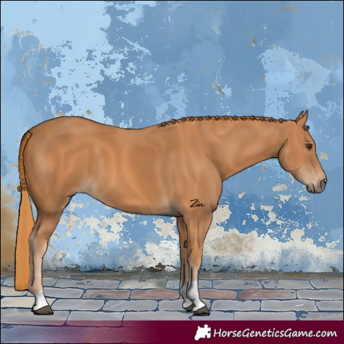 Horse Color:Chestnut Tobiano 