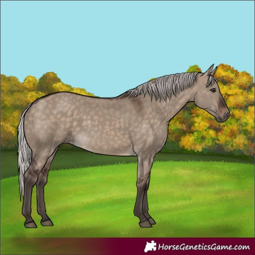 Horse Color:Silver Brown Dun