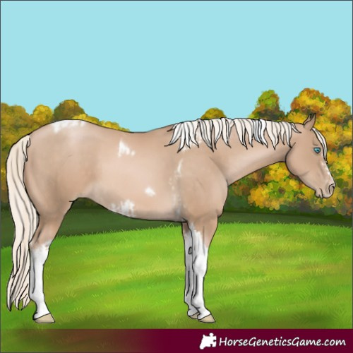 Horse Color:Chocolate Palomino Pearl Tobiano Frame and Chocolate Palomino Pearl Tobiano Frame