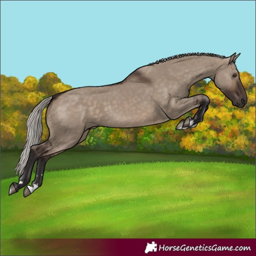Horse Color:Unknown 