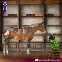 Horse Color:Powder White Pseudo Chocolate Palomino Skewed Appaloosa Rabicano
