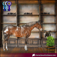 Horse Color:Powder White Pseudo Chocolate Palomino Skewed LP Spotted Rabicano 