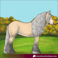 Horse Color:Silver Buckskin 