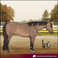 Horse Color:Bay Dun