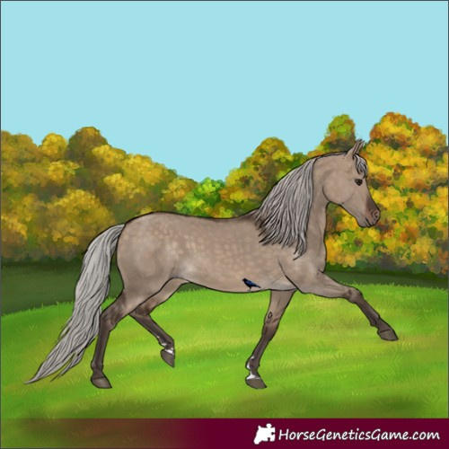 Horse Color:Silver Brown Dun