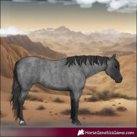 Horse Color:Blue Roan 