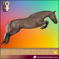 Horse Color:Silver Brown Dun