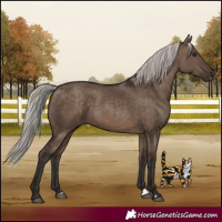 Horse Color:Silver Brown Dun