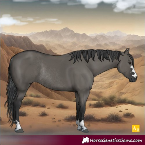 Horse Color:Grullo Rabicano