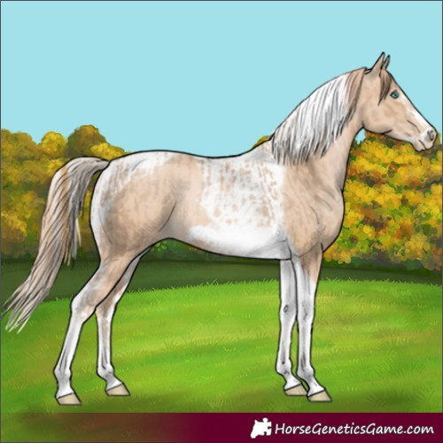 Horse Color:Chocolate Palomino Pearl Tobiano Frame and Smoky Black Pearl Tobiano Frame