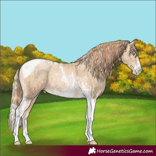Horse Color:Chocolate Palomino Pearl Tobiano Frame  and Buckskin Pearl Tobiano Frame 