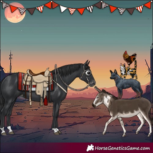 Horse Color:Black Varnish 