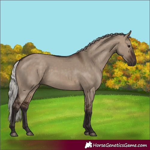 Horse Color:Silver Brown Dun 