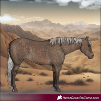 Horse Color:Silver Brown Dun 