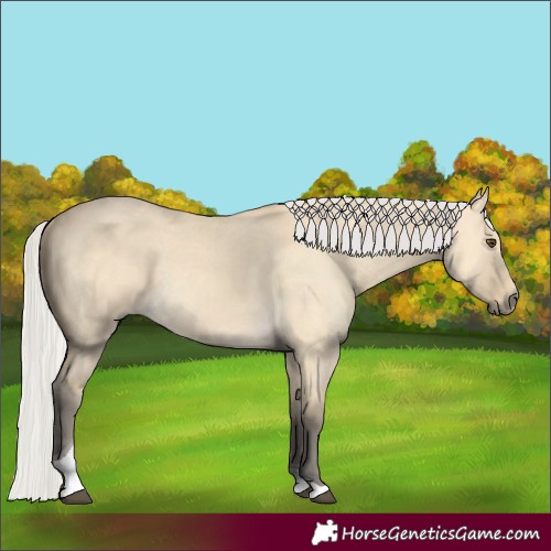 Horse Color:Silver Buckskin Dun Tobiano 