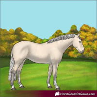 Horse Color:Silver Buckskin Dun Tobiano