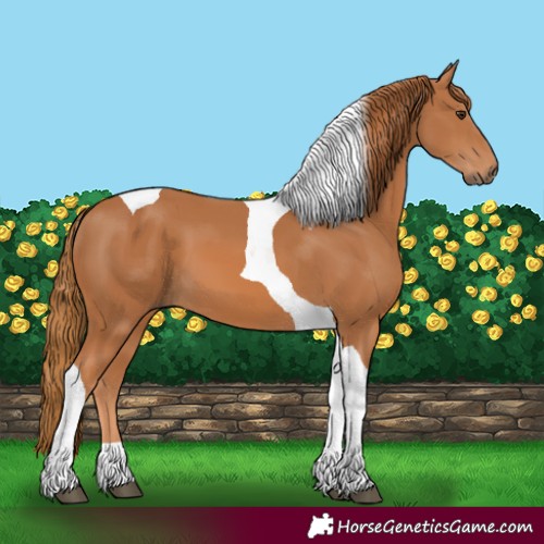 Horse Color:Chestnut Tobiano 