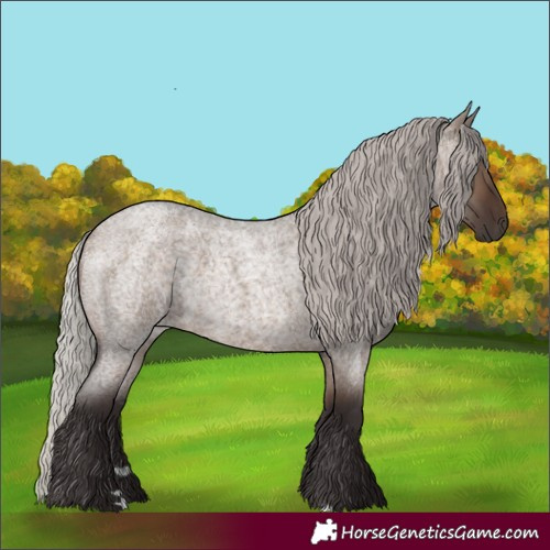 Horse Color:Silver Brown Roan Dun