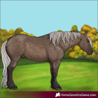 Horse Color:Silver Brown Dun 