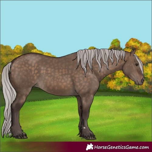 Horse Color:Silver Brown Dun