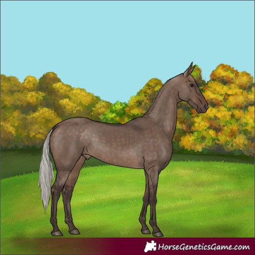 Horse Color:Silver Brown Dun