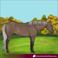 Horse Color:Silver Brown Dun