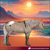 Horse Color:Silver Bay Dun Appaloosa 