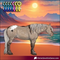 Horse Color:Silver Bay Dun Snowflake Varnish 