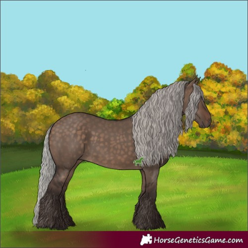 Horse Color:Silver Brown Dun 