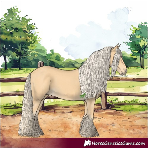 Horse Color:Palomino