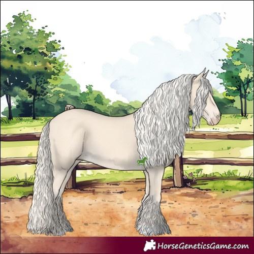 Horse Color:Cremello